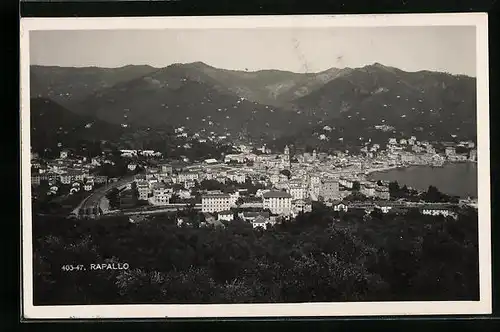 AK Rapallo, Panorama