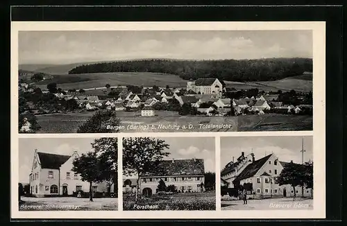 AK Bergen bei Neuburg a. D., Brauerei Böhm, Bäckerei Scheuermayr, Forsthaus