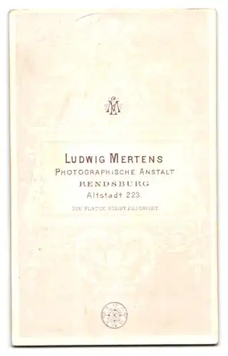 Fotografie Ludwig Mertens, Rendsburg, Altstadt 223, Halbwüchsiger Knabe in modischer Kleidung