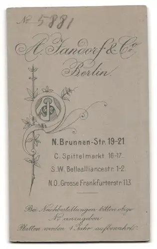 Fotografie A. Jandorf & Co., Berlin-N., Brunnen-Str. 19-21, Süsses Kleinkind im Hemd sitzt auf Fell