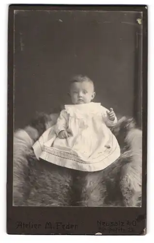 Fotografie M. Feder, Neusalz a /O., Bahnhofstr. 22, Süsses Kleinkind im Kleid sitzt auf Fell