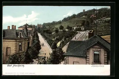 AK Bad Nauheim, Johannesberg mit Strassenpartie