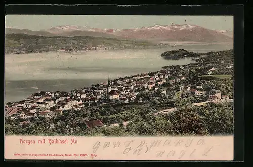 AK Horgen, Ortsansicht mit Halbinsel Au