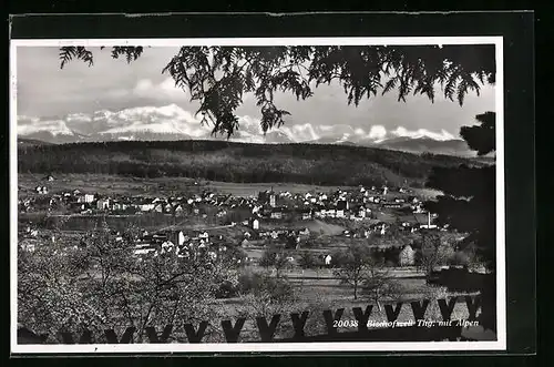 AK Bischofszell, Ortsansicht mit Alpen