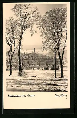 AK Lobenstein, Ortspartie im Winter