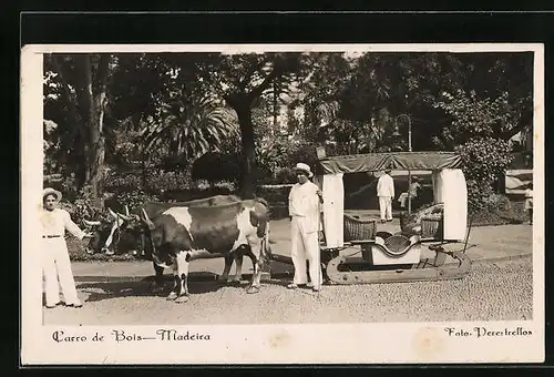 AK Madeira, Carro de Bois