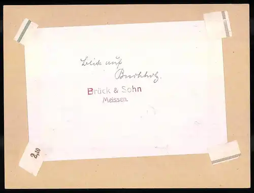 Fotografie Brück & Sohn Meissen, Ansicht Buchholz i. Sa., Ortsansicht mit Fabrik Schornstein