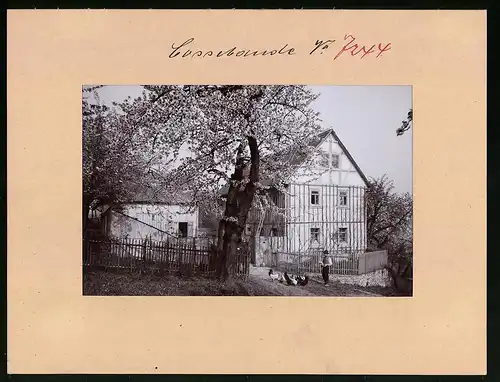 Fotografie Brück & Sohn Meissen, Ansicht Cossebaude, Partie an der Baumblut, Bauer mit Hühnern