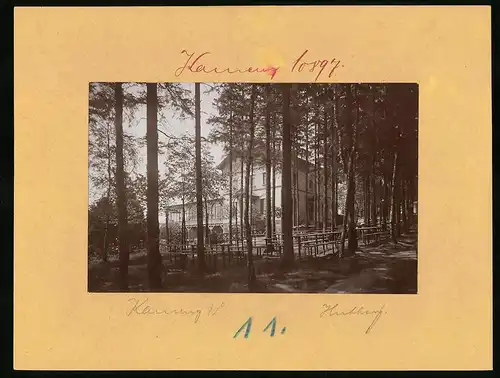 Fotografie Brück & Sohn Meissen, Ansicht Kamenz i. Sa., Waldpartie mit dem Hotel Hutberg