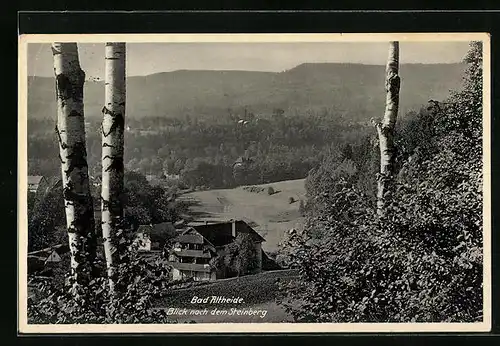 AK Bad Altheide, Blick nach dem Steinberg