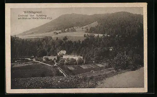 AK Wölfelsgrund, Urnitztal, Spitzberg, Blick auf Maria Schnee