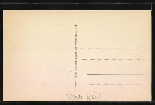 AK Henkenhagen, Strand mit Dünen