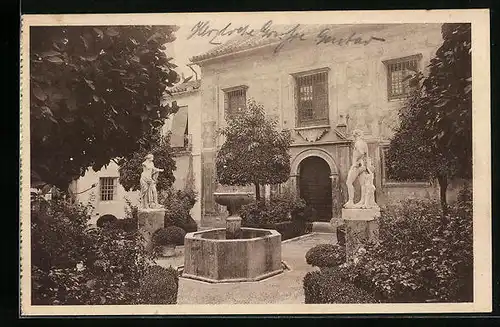 AK Cordoba, Bellisimo patio de entrada al Museo Provincial