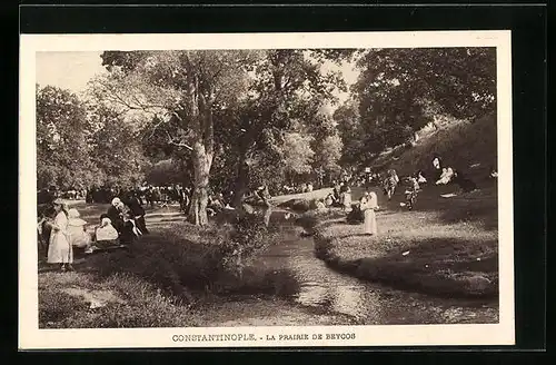 AK Constantinople, La Prairie de Beycos