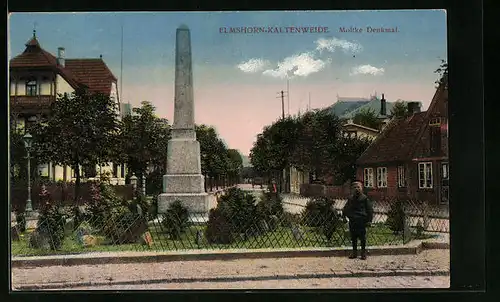AK Elmshorn-Kaltenweide, Moltke-Denkmal mit Strassenpartie