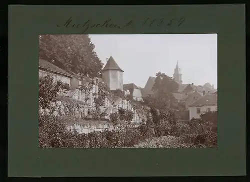 Fotografie Brück & Sohn Meissen, Ansicht Mutzschen, Gartenanlage an der alten Stadtmauer