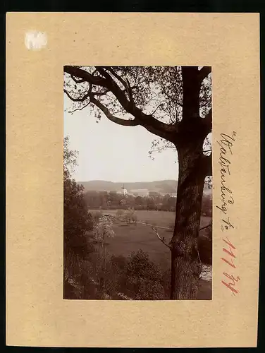 Fotografie Brück & Sohn Meissen, Ansicht Waldenburg, Blick von der Rochlitzer Strasse
