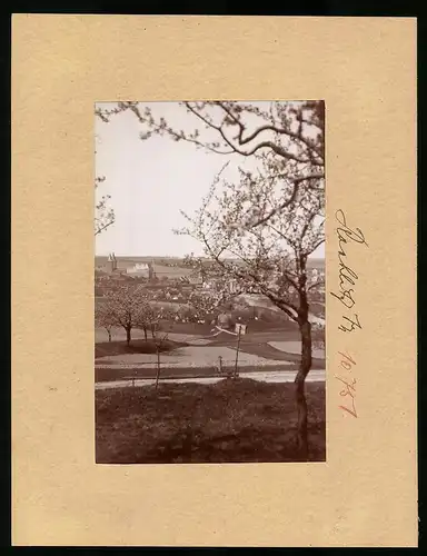 Fotografie Brück & Sohn Meissen, Ansicht Rochlitz, Panorama der Ortschaft