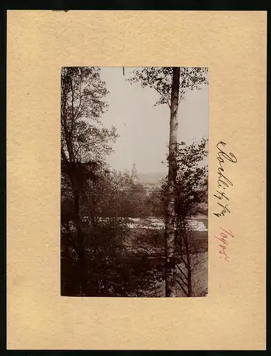 Fotografie Brück & Sohn Meissen, Ansicht Rochlitz, Blick vom Waldrand zum Ort