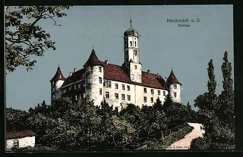 Künstler-AK Eugen Felle: Höchstädt a. D., Schloss mit Zufahrt