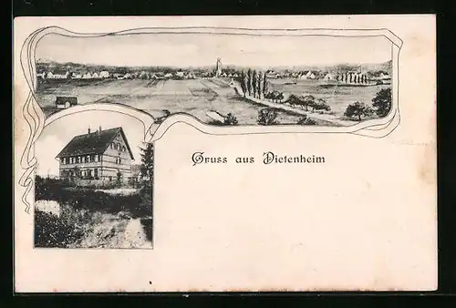 AK Dietenheim, Einzelhaus, Panorama des Ortes mit Landstrasse