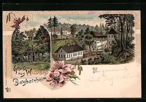 Lithographie Wildbad b. Burgbernheim, Teufels Häuschen, Ortspartie