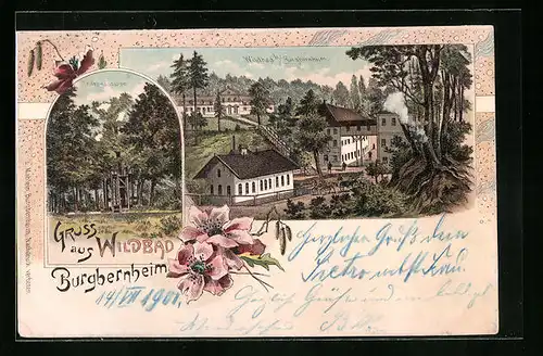 Lithographie Wildbad bei Burgbernheim, Teufels Häuschen, Ortspartie