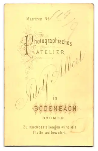 Fotografie Adolf Albert, Bodenbach /Böhmen, Junger Herr im Anzug mit Krawatte