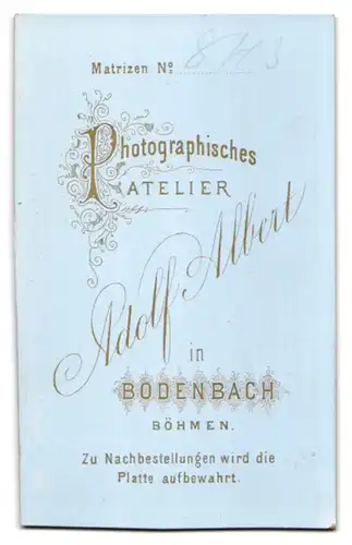 Fotografie Adolf Albert, Bodenbach /Böhmen, Modisch gekleideter Herr mit Henri Quatre