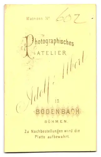 Fotografie Adolf Albert, Bodenbach /Böhmen, Bürgerliche Dame mit Haube und Kragenbrosche