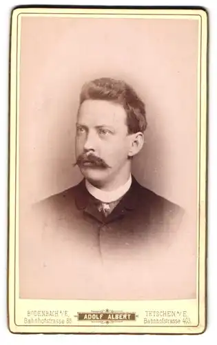 Fotografie Adolf Albert, Bodenbach a. E., Bahnhofstr. 85, Stattlicher Herr mit Schnauzbart
