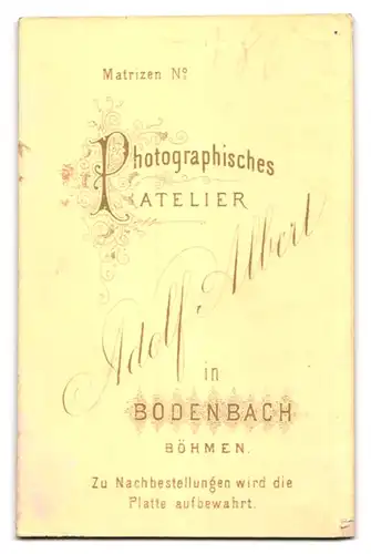 Fotografie Adolf Albert, Bodenbach /Böhmen, Hübsches Mädchen im langen Kleid