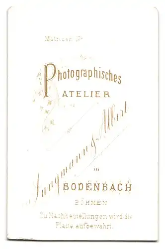 Fotografie Jungmann & Albert, Bodenbach /Böhmen, Charmanter Herr im Anzug mit Fliege