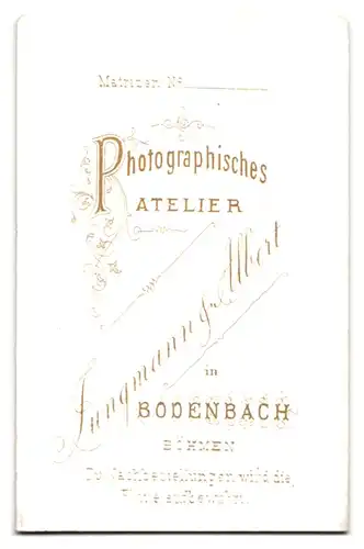 Fotografie Jungmann & Albert, Bodenbach /Böhmen, Junge Dame mit Hochsteckfrisur