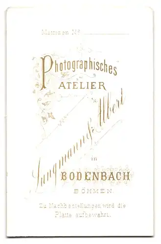 Fotografie Jungmann & Albert, Bodenbach /Böhmen, Elegant gekleideter Herr mit Oberlippenbart