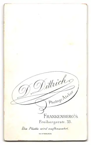 Fotografie D. Dittrich, Frankenberg i /S., Freibergerstr. 33, Junge Dame im modischen Kleid