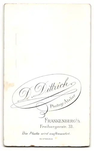 Fotografie D. Dittrich, Frankenberg i. S., Freibergerstr. 33, Junge Dame im hübschen Kleid