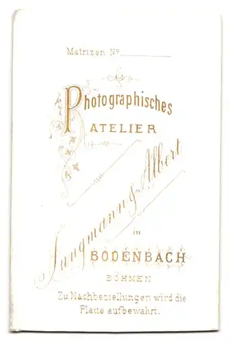 Fotografie Jungmann & Albert, Bodenbach /Böhmen, Bürgerliches Paar mit kleinem Mädchen