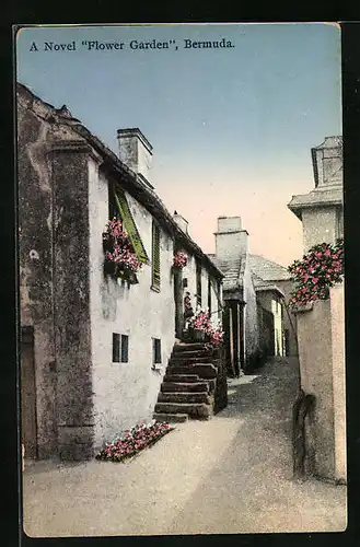 AK Bermuda, A Novel Flower Garden
