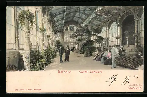 AK Karlsbad, Sprudel-Colonnade mit Palmen