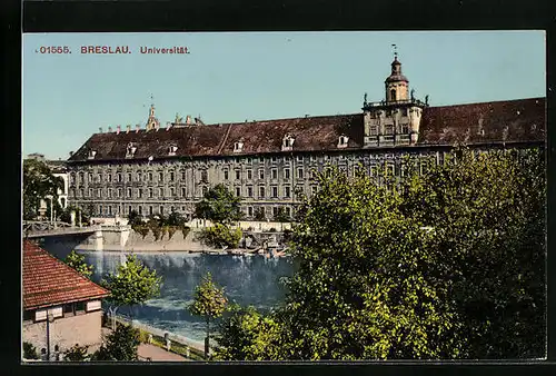 AK Breslau, Ansicht der Universität