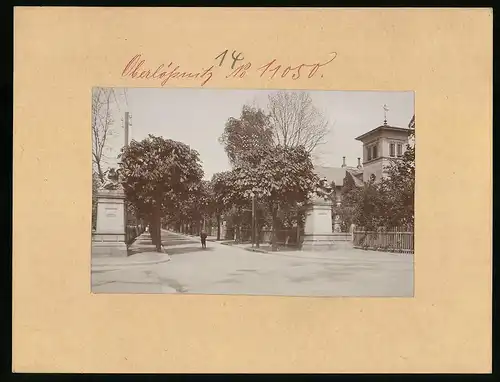 Fotografie Brück & Sohn Meissen, Ansicht Oberlössnitz, Blick in die Sophienstrasse mit Statuen