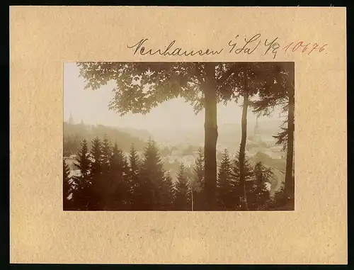 Fotografie Brück & Sohn Meissen, Ansicht Neuhausen i. Sa., Blick vom Wald auf den Ort