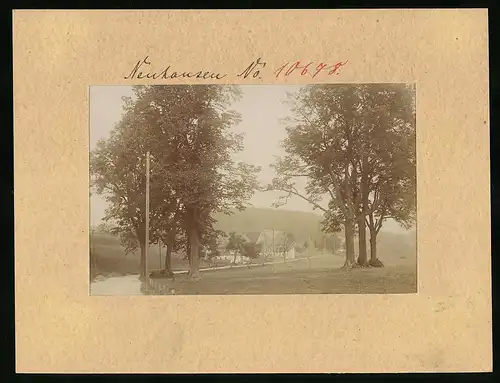 Fotografie Brück & Sohn Meissen, Ansicht Neuhausen i. Sa., Blick auf den Ort mit Kurfürstenlinde