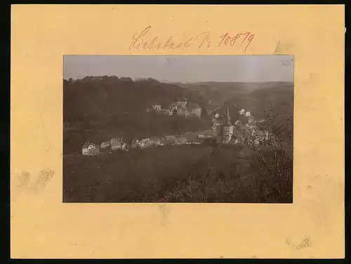 Fotografie Brück & Sohn Meissen, Ansicht Liebstadt i. Sa., Ortspanorama mit dem Schloss