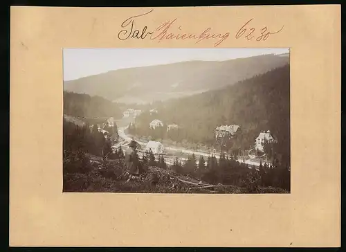 Fotografie Brück & Sohn Meissen, Ansicht Tal-Bärenburg, Herr schaut vom Berg auf die Villen im Tal