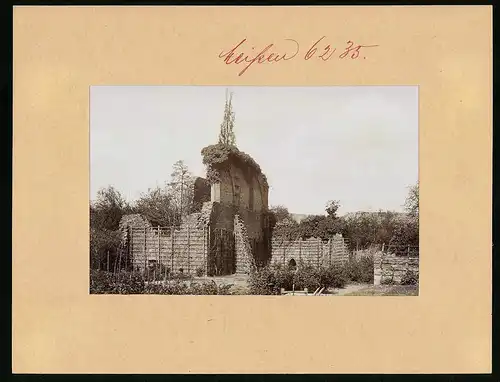 Fotografie Brück & Sohn Meissen, Ansicht Meissen-Klosterhäuser, Blick auf die Ruine des Klosters zum Heiligen Kreuz