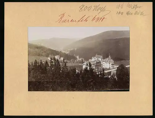 Fotografie Brück & Sohn Meissen, Ansicht Bärenfels, Blick auf den Ort mit Villen