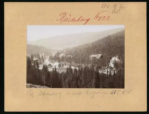 Fotografie Brück & Sohn Meissen, Ansicht Bärenburg i. Erzg., Blick auf Tal Bärenburg mit der Pension Marie Elise