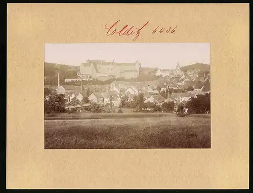 Fotografie Brück & Sohn Meissen, Ansicht Colditz, Panorama vom Ort mit Blick auf das Schloss